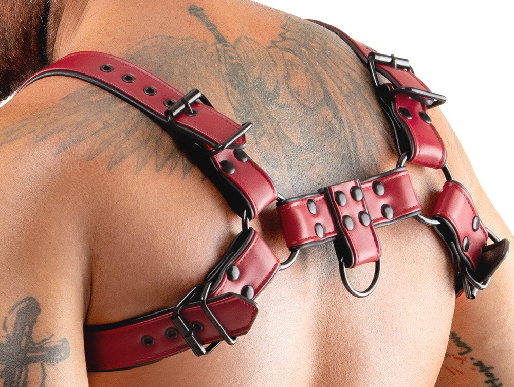 Ringlock Chest Harness garment view 16
